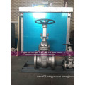 Alloy 20 CN7M Gate Valve